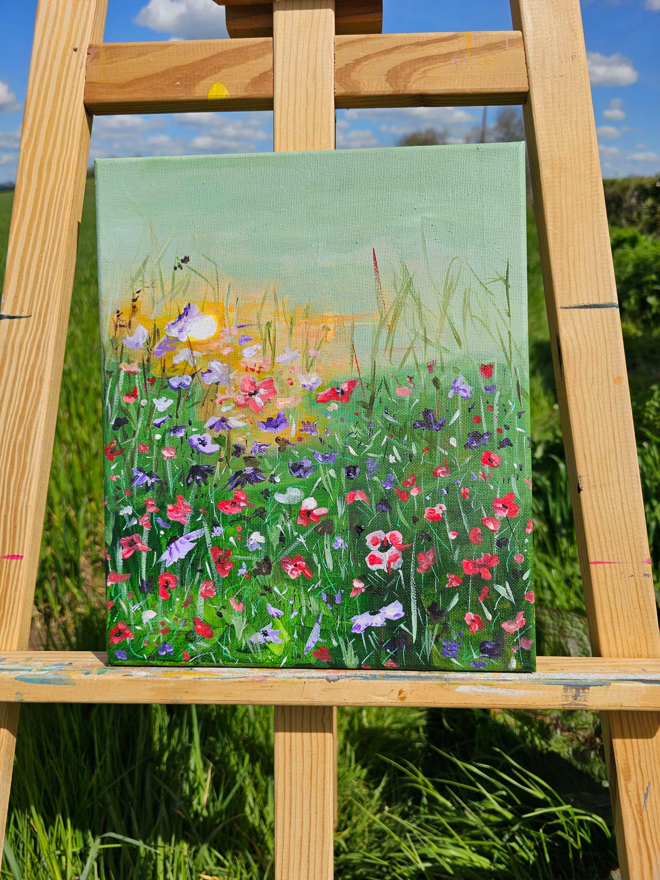 Meadow in sun II