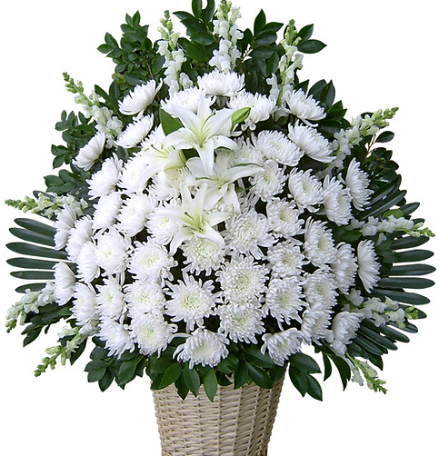 chrysanthemum.jpg