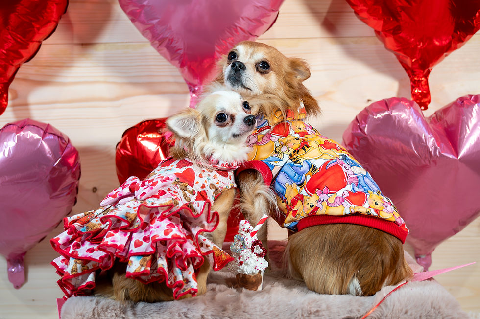 Valentines themed shoot with outfits