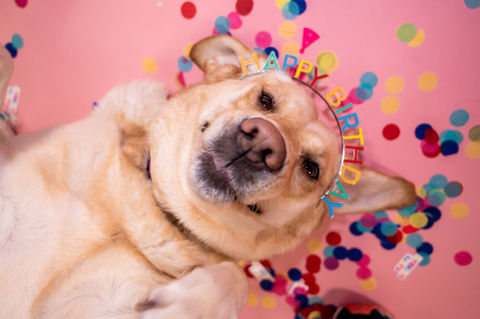 Birthdays
