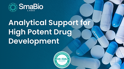 Analytical Support for High Potent Drug Development