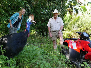 Cassowary encounter