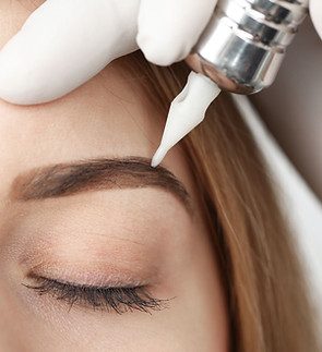 Eyebrows Makeup
