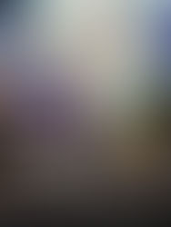 Headliner do Monsters of Rock, Guns N’ Roses amplia turnê pelo Brasil