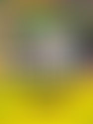 Magic!, do hit global Rude, retorna a São Paulo em abril