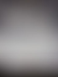 Andreas Kisser reúne artistas como Nando Reis, Samuel Rosa e Dinho Ouro Preto no Patfest.