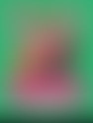 Red Hot Chilli Peppers no Brasil !