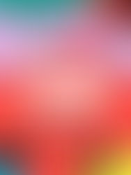 Lollapalooza 2024: festival anuncia data de início da venda de ingressos