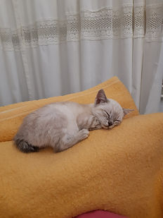 20191113_174517.jpg