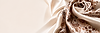 1a3b3402-a25c-434c-978d-7fc573aedeb7.png