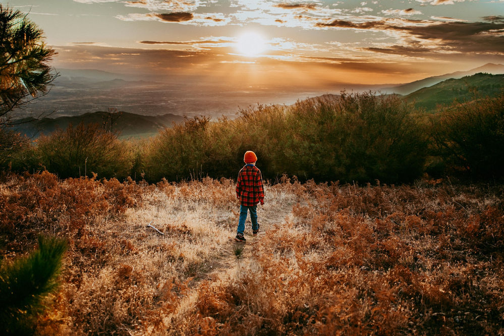 Screen Shot 2022-08-02 at 12.47.10 PM.jpg