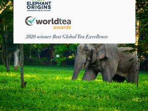 Elephant Origins Wins Top Award at World Tea Expo 2020