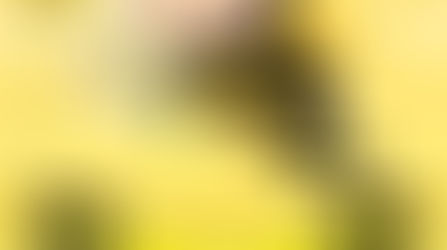 Fundação da Colméia Princesinhas do Oeste e iniciação de novas Filhas de Jó