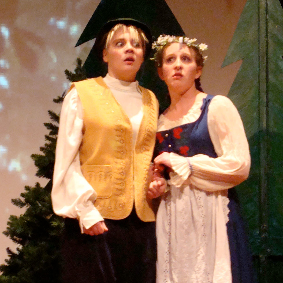 Hansel & Gretel (opera), 2008