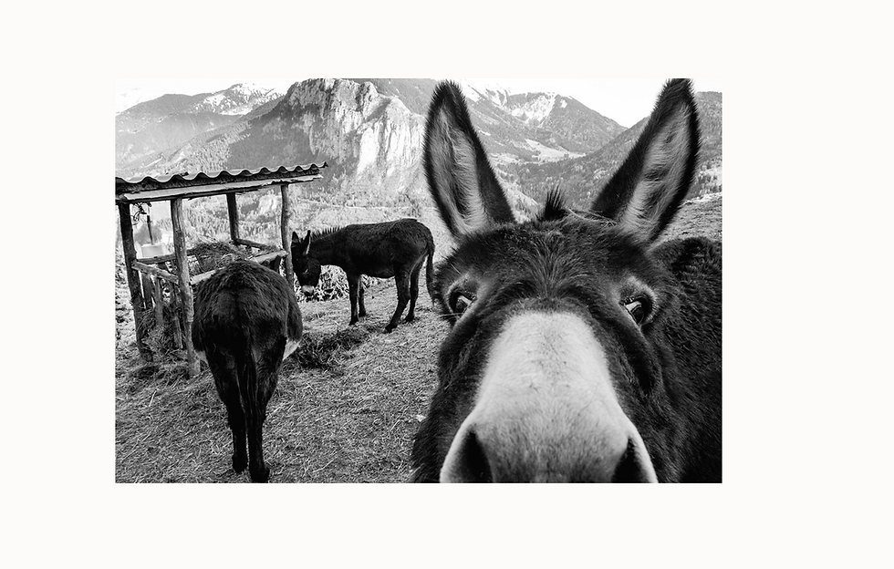 Tarım Arazileri | The Land Trust