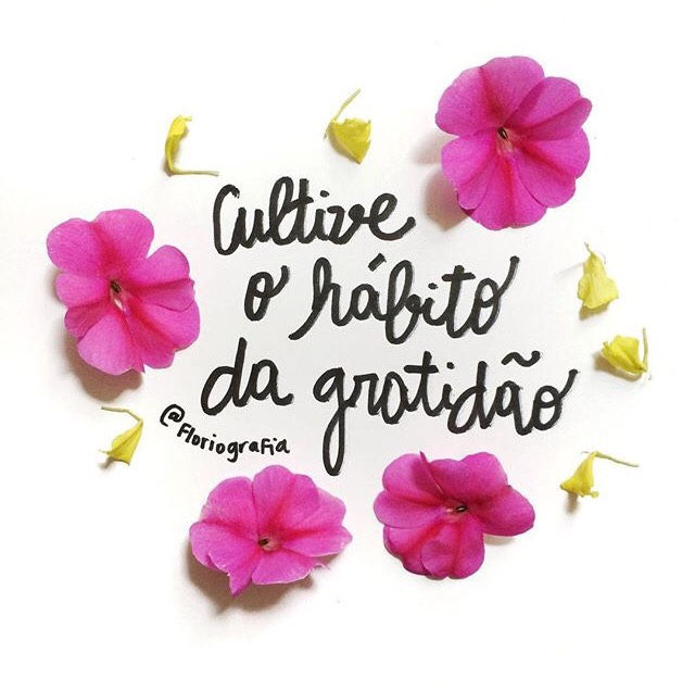 Gratidão, na prática