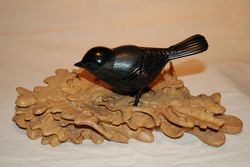 Black Capped Chickadee