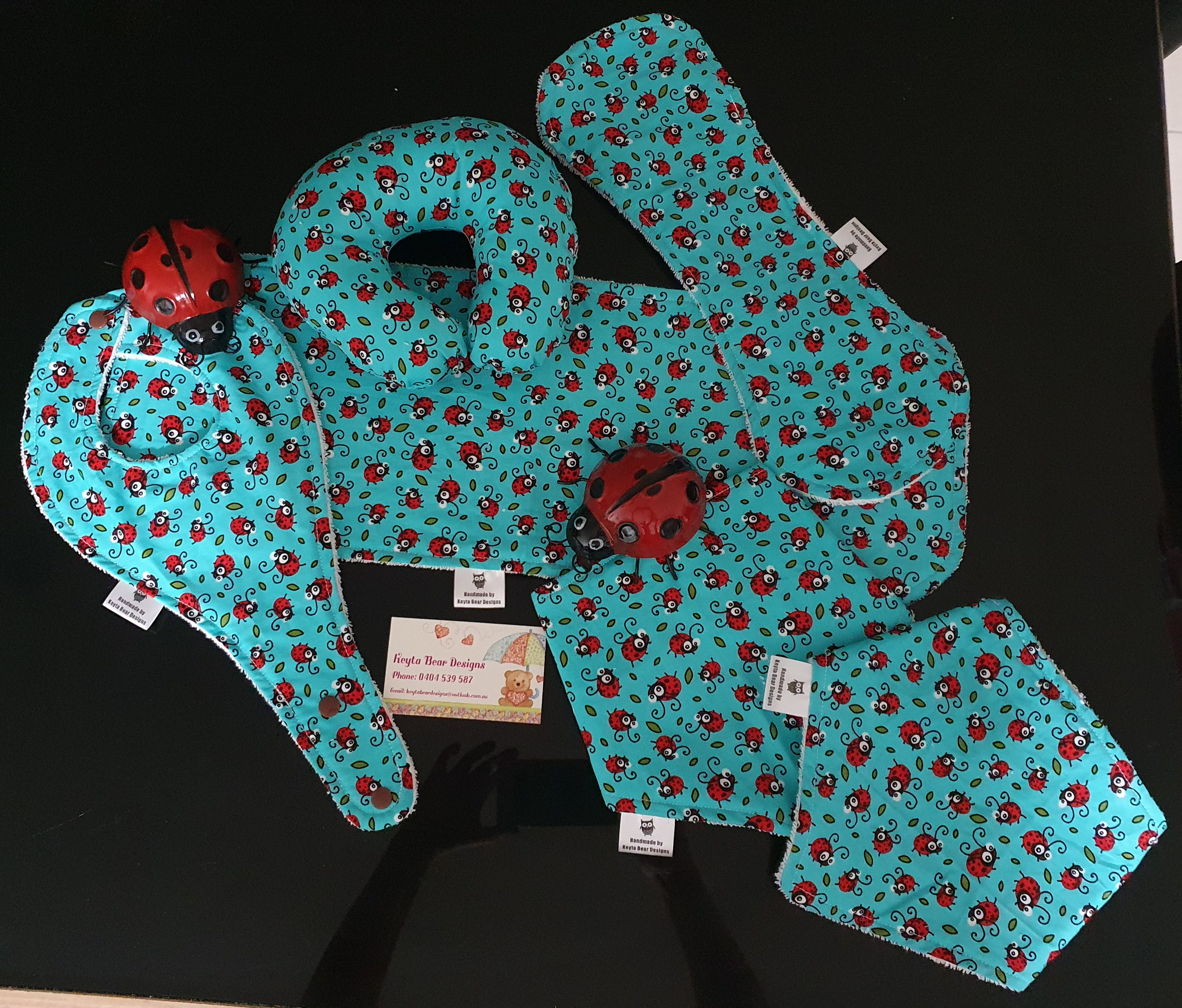 Lady Beetle Blue 6 piece Feed Set