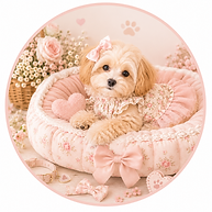 Handmade pet accessories and pet clothing by Keyta Bear Designs Australia