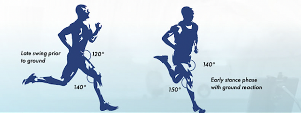 Sprinting phases involved in hamstring avulsions.