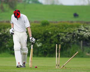 Cricket Player nature