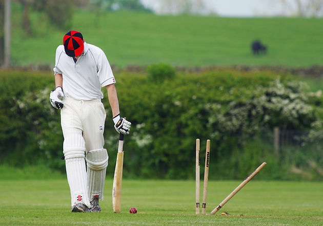 Cricket Player nature