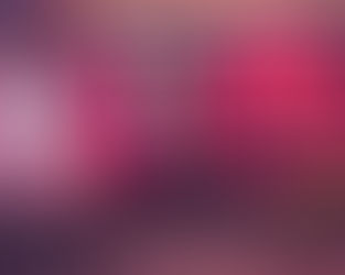 Film of the Month: The archive