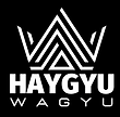 Haygyu Wagyu