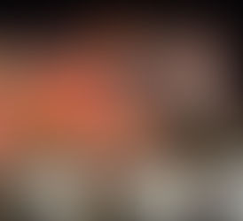 The Day the Wagyu World Tilted: Reflections on the AWA AGM, WBVs, Helical and the Next Frontier