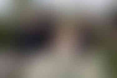 Killeavy Castle Wedding Photography