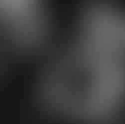 The Rabbit Wedding Venue Northern Ireland