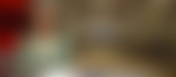 Ständerat stimmt für Weitergabe von 25 Panzer 87 (Leopard 2)