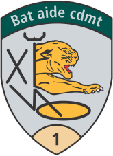 Bat aide cdmt 1