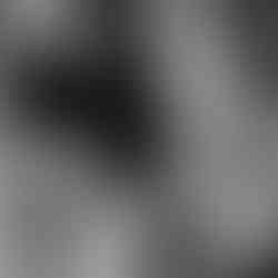 four-seasons-carlingford-wedding-venue