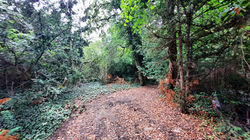 Doppel-Baugrundstueck-Berlin-Biesdorf-Grundstueck1