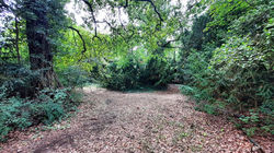 Doppel-Baugrundstueck-Berlin-Biesdorf-Grundstueck