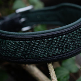 Lederhalsband mit Fischleder-Inlay