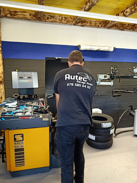 Autec Winterhur, Reparatur aller Marken