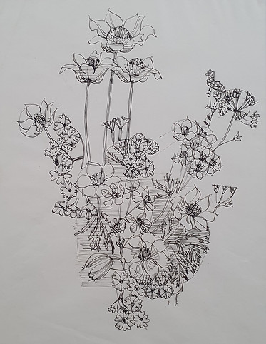 Erna Schillig, Blumenstrauss, 1930 -1945, Tuschezeichnung