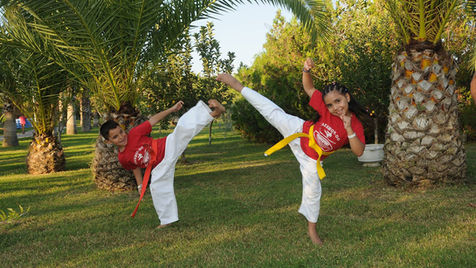 jeton berisha taekwondo schule bülach