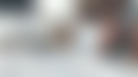 Samstag 13.12.25 Tom Novy im Graf Rumford