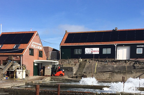 POLS BOM Website ontwerp (1).png