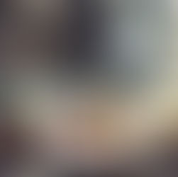 Platte oesters in witte wijnsaus op een bedje van spinazie