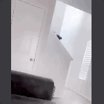 LOL: This girl almost breaks her neck running from a small dog