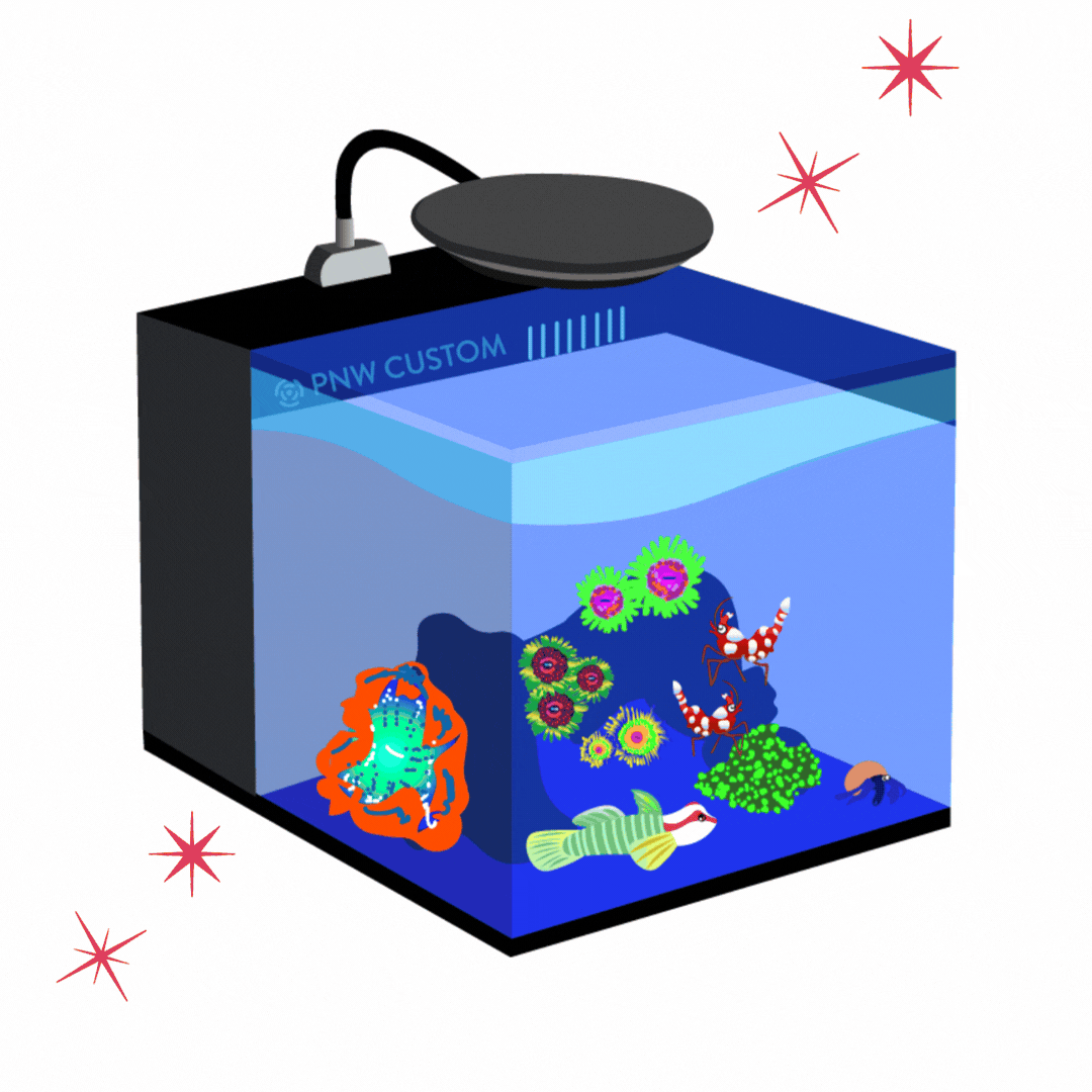 MICRO REEFING.gif