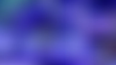 Hannah Carolan’s Ocean-in-the-Office Reef