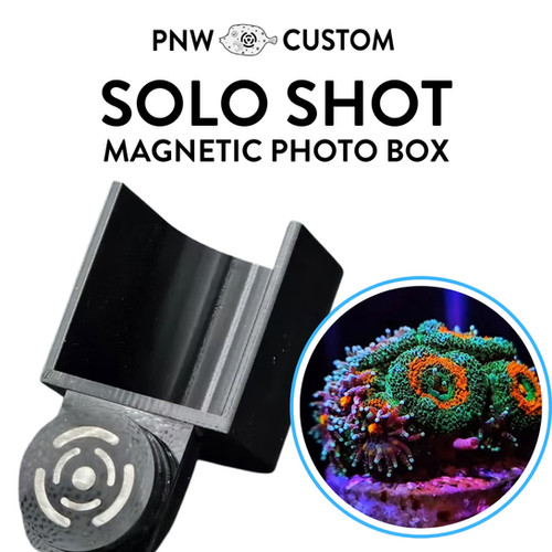 Solo Shot | Single Magnetic Photo Box | PNW Custom