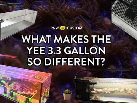 What Makes the Yee 3.3 Gallon So Different?