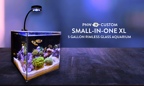 small-in-one-xl