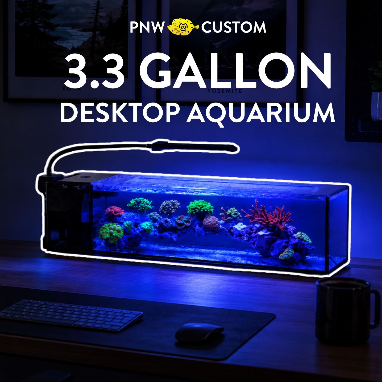 3.3 Gallon Desktop Aquarium